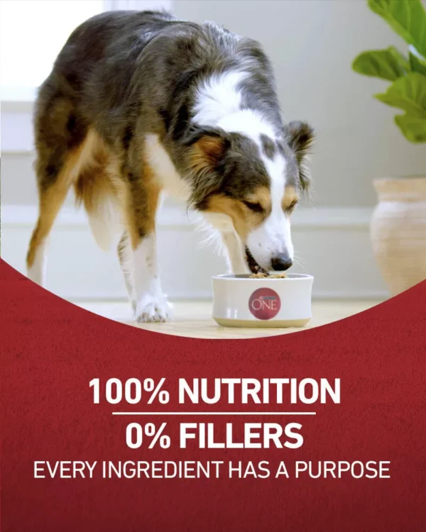 Purina ONE® SmartBlend® Chicken & Rice Formula Natural Adult Dog Food - Image 3